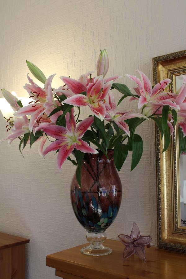 Hillview Guest House Fort William Esterno foto